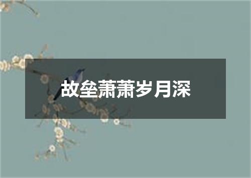 故垒萧萧岁月深