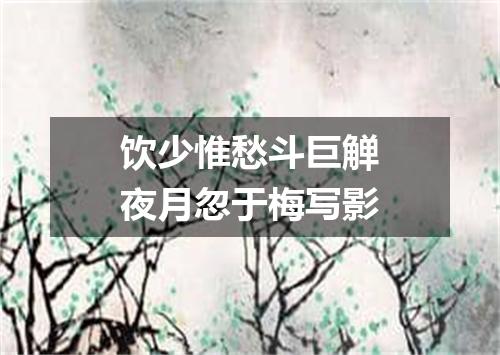 饮少惟愁斗巨觯夜月忽于梅写影