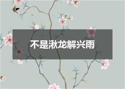 不是湫龙解兴雨