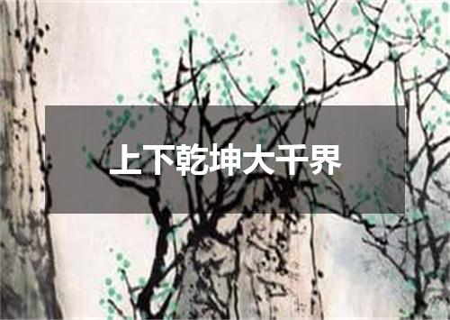 上下乾坤大千界