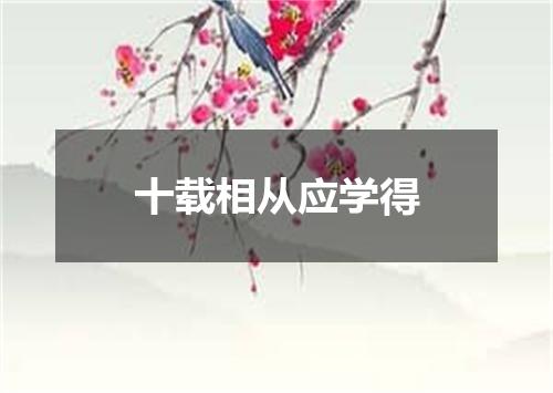 十载相从应学得