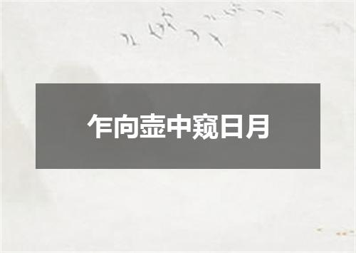 乍向壶中窥日月