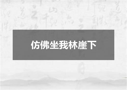 仿佛坐我林崖下