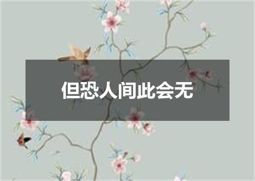但恐人间此会无