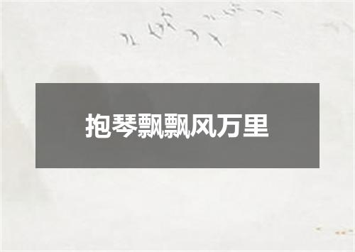 抱琴飘飘风万里