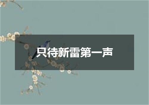 只待新雷第一声