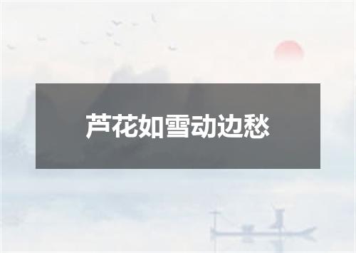 芦花如雪动边愁