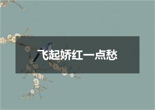 飞起娇红一点愁