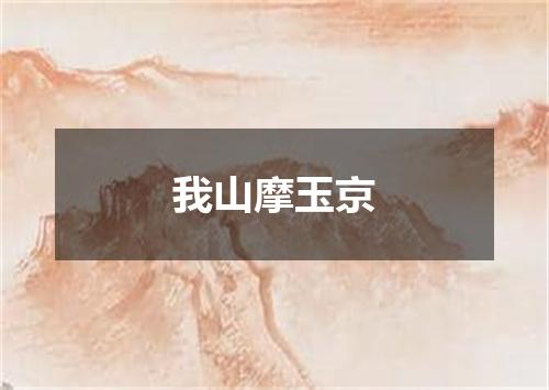 我山摩玉京