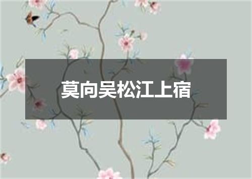 莫向吴松江上宿