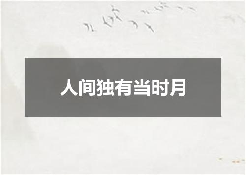 人间独有当时月