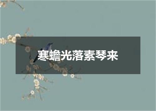 寒蟾光落素琴来