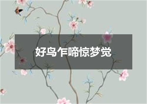 好鸟乍啼惊梦觉