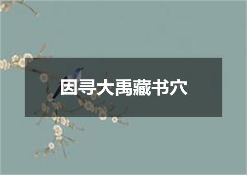 因寻大禹藏书穴