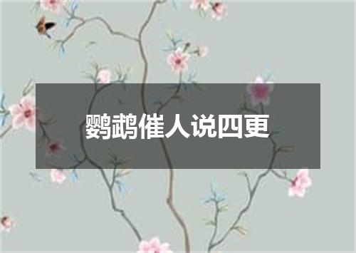 鹦鹉催人说四更