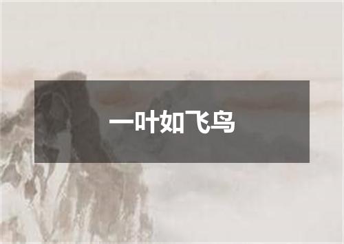 一叶如飞鸟