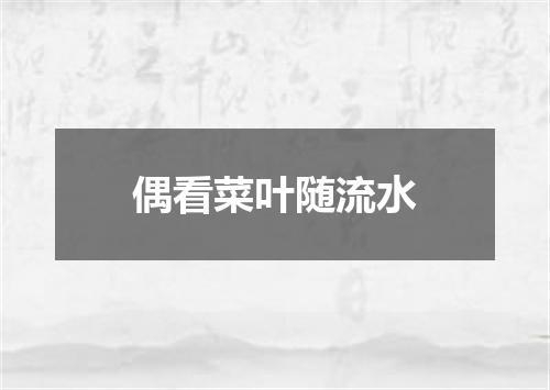 偶看菜叶随流水