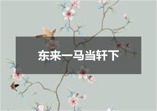 东来一马当轩下