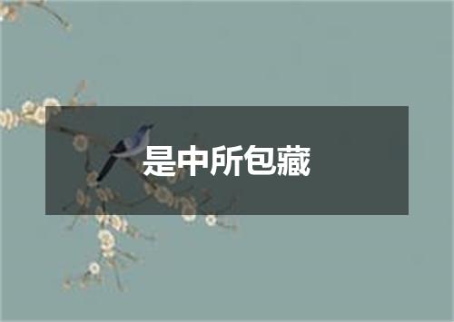 是中所包藏
