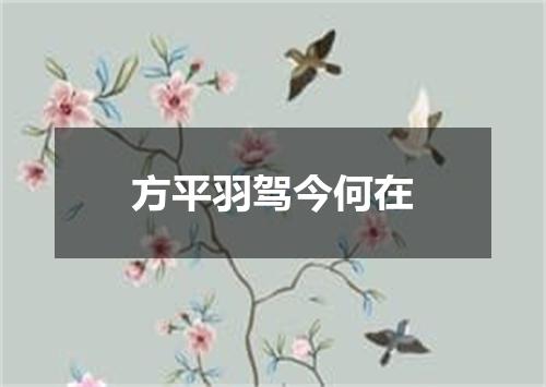 方平羽驾今何在