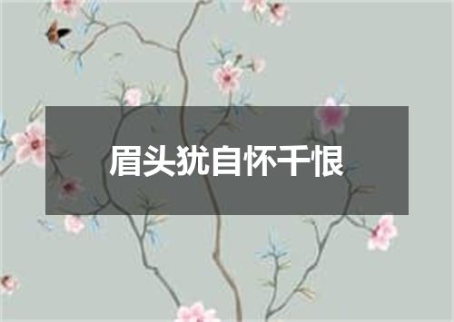 眉头犹自怀千恨