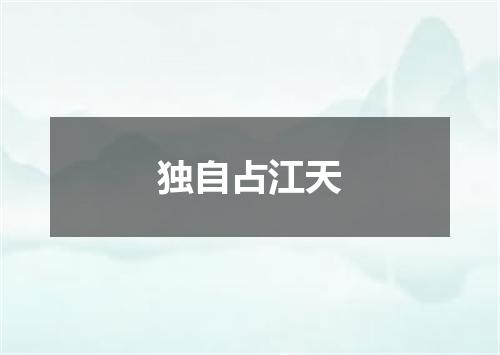 独自占江天