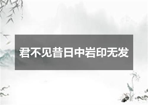 君不见昔日中岩印无发