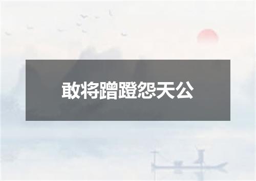 敢将蹭蹬怨天公