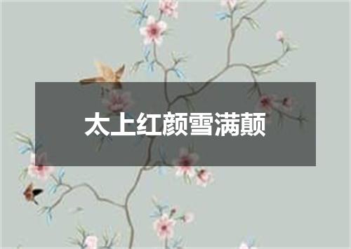 太上红颜雪满颠