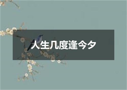 人生几度逢今夕