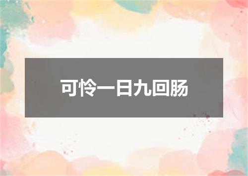 可怜一日九回肠