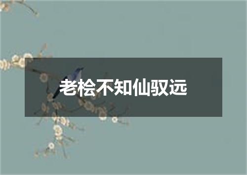 老桧不知仙驭远