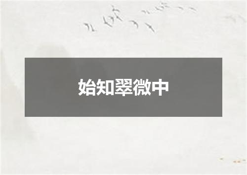 始知翠微中