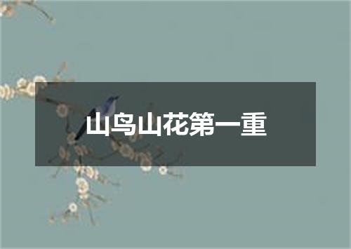 山鸟山花第一重
