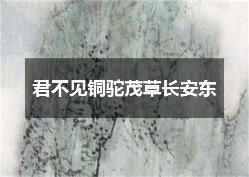 君不见铜驼茂草长安东
