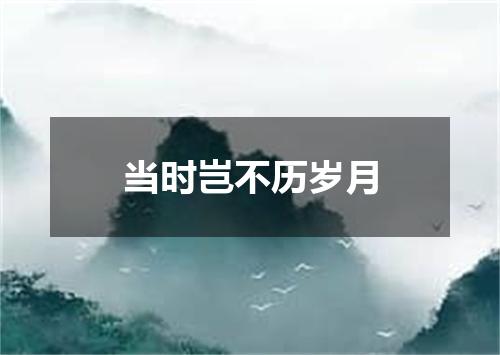 当时岂不历岁月