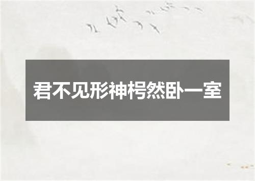 君不见形神枵然卧一室