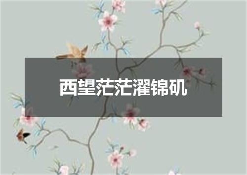 西望茫茫濯锦矶