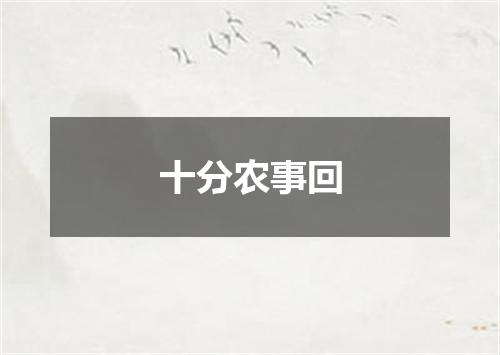 十分农事回