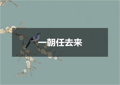 一朝任去来