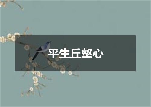 平生丘壑心