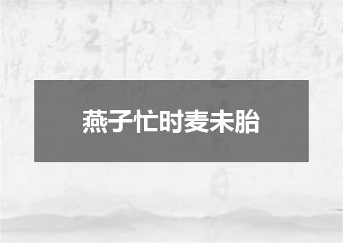 燕子忙时麦未胎