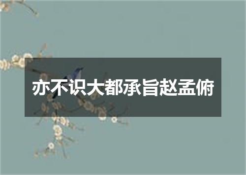 亦不识大都承旨赵孟俯