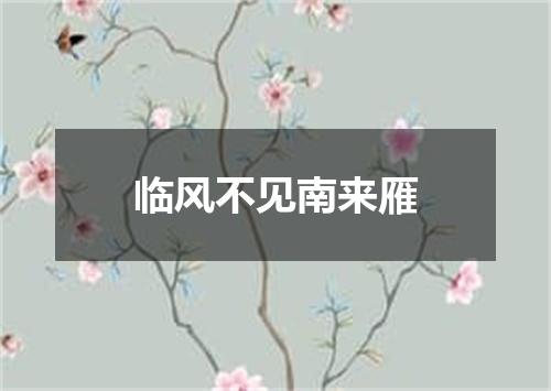 临风不见南来雁