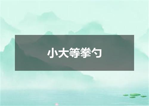 小大等拳勺