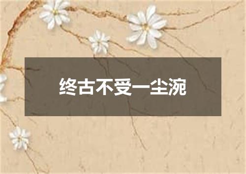 终古不受一尘涴