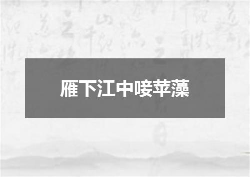 雁下江中唼苹藻