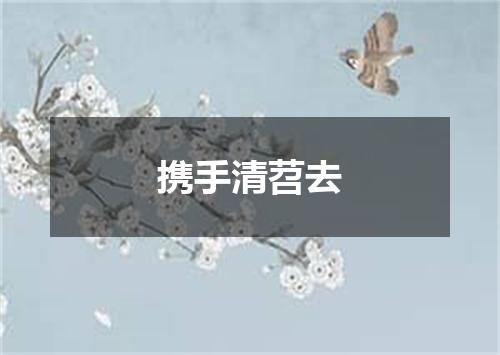 携手清苕去