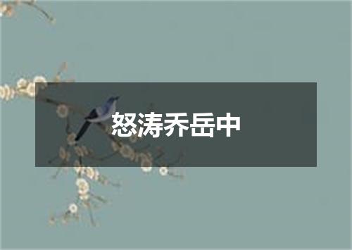 怒涛乔岳中