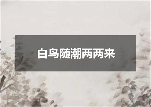 白鸟随潮两两来